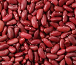 Red Bean
