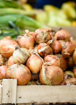 Onion on the market counter-harvest season